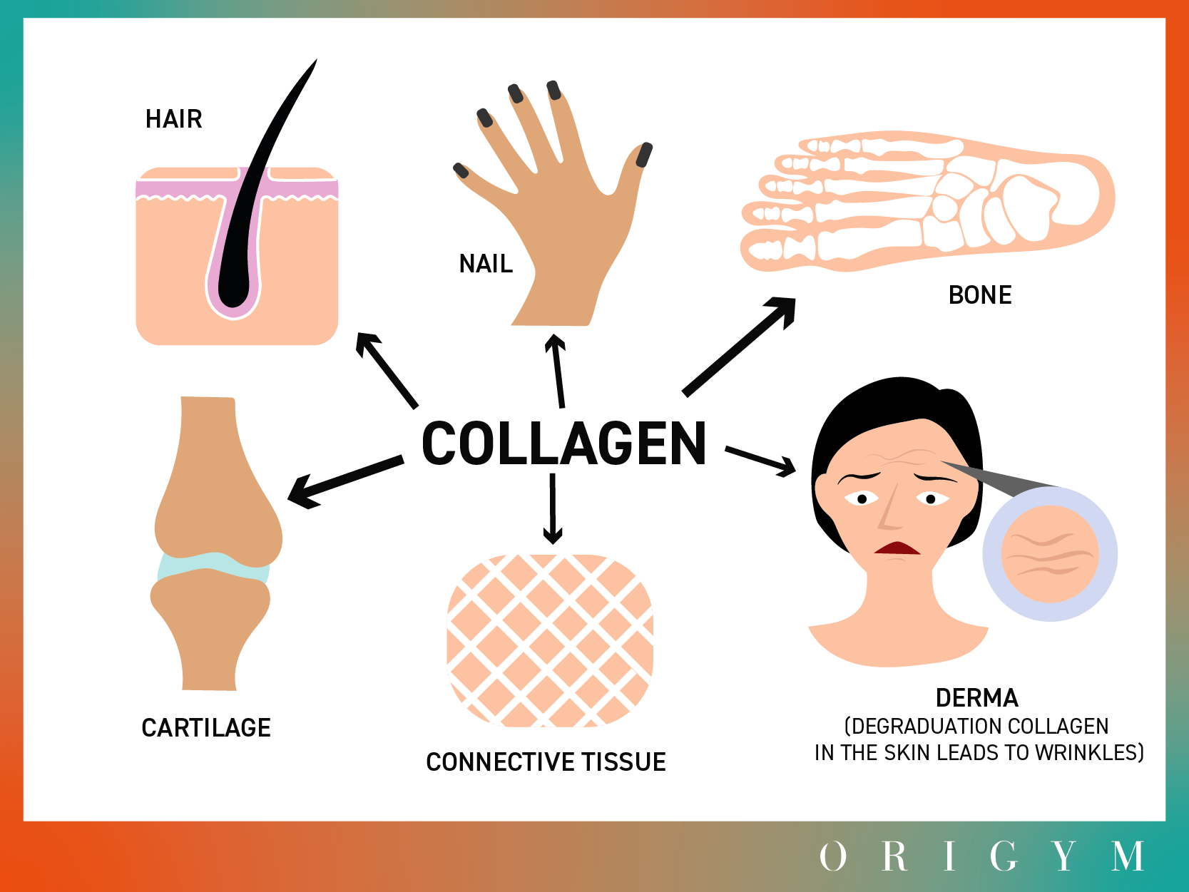 side effects of collagen supplements and benefits  