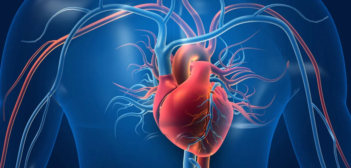 The Surprising Secrets That Make Cardiovascular Disease Icd 10 into a Leading Brand